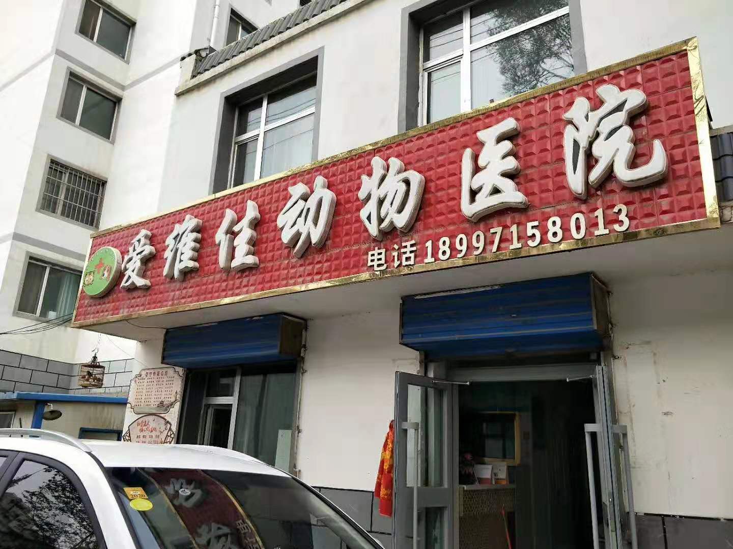  t(y)Ժ͑11